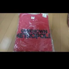 三代目JSB　登坂広臣 unknown metropoliz Tシャツ　Mサイズ