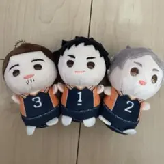 ハイキュー!! ちょぴぬいぷち4 烏野3年生 セット - メルカリ