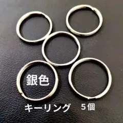 Item thumbnail for item 6ca65593-7305-4474-a4cb-b907f9de4fd6