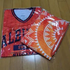 アルビレックス新潟　応援グッズ　ホッケーシャツ＆ポンチョ　2枚セット　新品