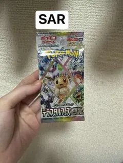 2025年最新】テラスタルフェスex boxの人気アイテム - メルカリ