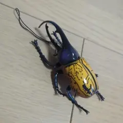 Item thumbnail for item e93769e1-9075-44bf-b3aa-614e53306c28