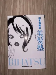 山本浩未の美髪塾 sasaeru文庫