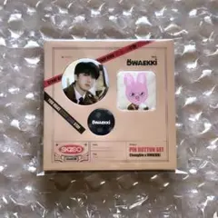 チャンビン ピンボタンセット ①