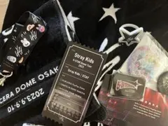 StrayKids スキズ5-STAR ドームツアーアップグレードグッズ