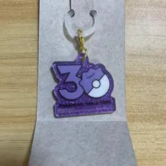 ポケモン ポケチャーム 30周年 ロゴマスコット メタモン
