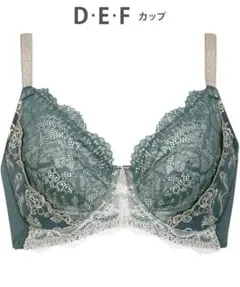 Wing/Wacoal ウイング/ワコール　レシアージュ　ブラジャー　E70