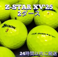 ⛳最新モデル⛳SRIXON Z-STAR XV('25)ロストボール 2ダース