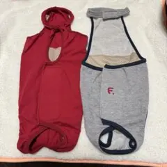 Item thumbnail for item 05a5edb5-a918-4e4f-8bce-008f57c57853