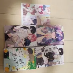ボーイズラブ漫画　まとめ売り