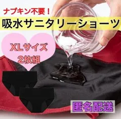 【在庫限り】 吸水サニタリーショーツ XL 2枚組 漏れ防止 ズレない ブラック