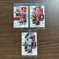 バレーボール女子日本代表 ウエハース　3点セット