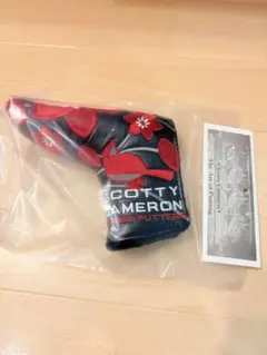 Item thumbnail for item 82d5076e-0ecf-41ab-842f-20d0a8838880