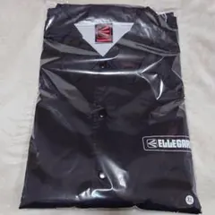 Item thumbnail for item 2f312215-e0bd-4dd2-baa4-3ce445205a34