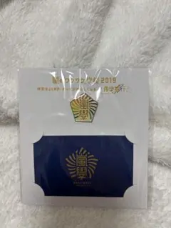 嵐 ワクワク学校 ピンバッジ 学生証