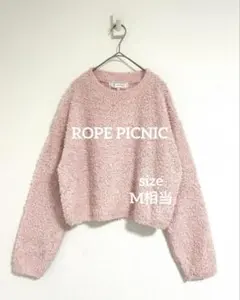 ロペピクニック