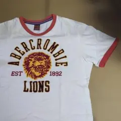 Abercrombie & Fitch リンガーTシャツ XL used加工のサムネイル