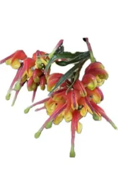 2025年最新】グレビレア ファイヤーワークスの人気アイテム - メルカリ