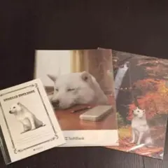 ✳︎【新品未開封】ソフトバンク お父さん ノート ファイル セット✳︎