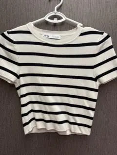 ZARA ストライプ 半袖ニット M ショート丈