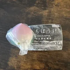 HOKA様 リクエスト 2点 まとめ商品