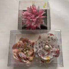 Item thumbnail for item 25d3523a-2777-4695-94e4-834e5199b6c6