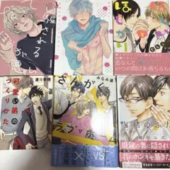 2026年最新】bl小説 まとめ売りの人気アイテム - メルカリ