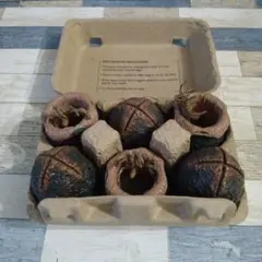 ALIEN LV-426 Cage-Free Eggs