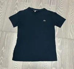LACOSTE ラコステ Tシャツ 半袖 ネイビー