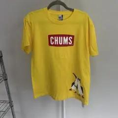 Item thumbnail for item 8d5eb7dd-3ef6-435a-8a4a-a635b936f602