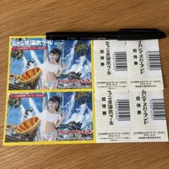 長島ジャンボ海水プール 招待券 2枚 - メルカリ