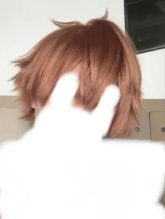 2025年最新】エース・トラッポラ ウィッグの人気アイテム - メルカリ