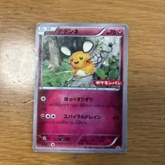 포켓몬 カード 「デデンネ」 プロモ 포켓몬 パン 2016年