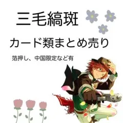 あんスタ 三毛縞斑 ぱしゃこれ等カード類