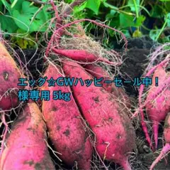 熊本県産さつまいも 紅はるか 自然栽培 5kg専用ページ①