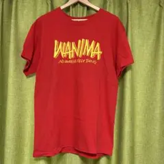 WANIMA Tシャツ Lサイズ ONE CHANCE 赤