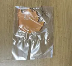 ハイキュー一番くじ　G賞