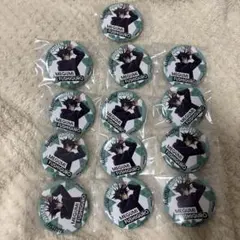 呪術廻戦 伏黒恵 缶バッジ 13個セット