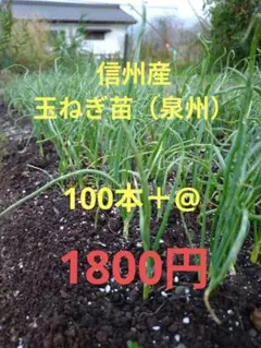 momo様 リクエスト 3点 まとめ商品