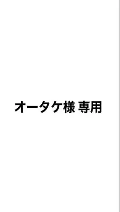 オータケ様 ミニカー 作成中