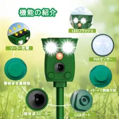 Item thumbnail for item 78ffc720-e3e2-4d09-844e-96ecfa530a88