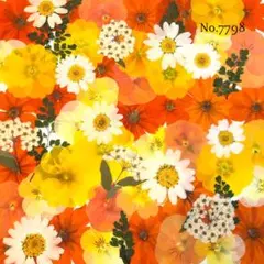 まろばー様 リクエスト 4点 まとめ商品