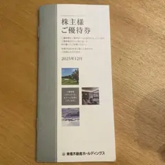 株主優待券 東急不動産ホールディングス