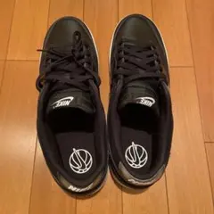 30cm ナイキ ダンク ロー レトロ NAS FD6923-001 黒　箱無し