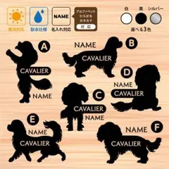【お名前・文字変更自由】キャバリア　ドッグインカー 　ステッカーのサムネイル