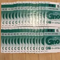 グノーブル最新版５年生社会のテキスト Amazon.co.jp: 中学受験 グノーブル 小5用 授業テキスト