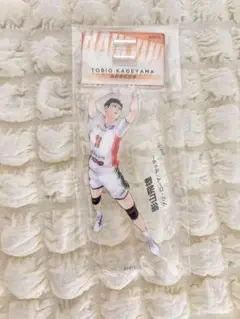 ハイキュー!!クロニクル 影山飛雄<Խ