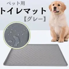 Item thumbnail for item 3173f58f-9328-41f4-97a8-ee456fa673cd