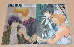 家庭教師ヒットマンREBORN　ディノヒバ　2冊まとめ売り