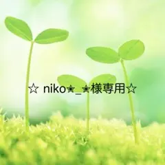 ☆niko✮_✮様専用☆